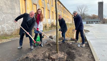 Bernd Rubelt, Birgit Peseke-Lusti, Mike Schubert und Bert Nicke pflanzen die ersten neuen Bäume in Krampnitz