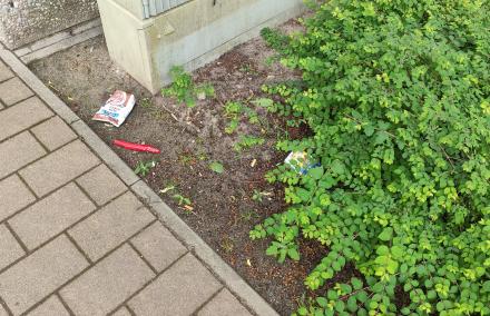 Littering Vermüllung neben dem Gehweg
