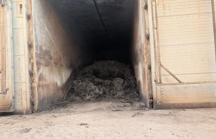 Intensivrottetunnel