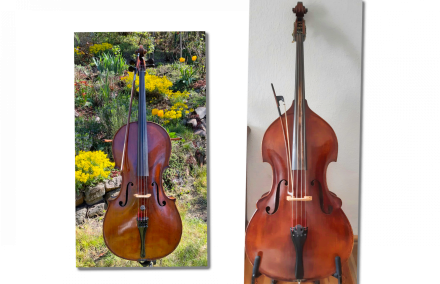 zwei Einzelbilder Ein Cello vor buntem Gartenhintergrund und ein Kontrabass - beide Instrumente mit rötlich schimmernden Hölzern