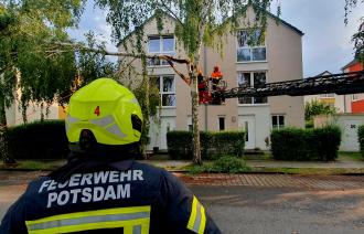 Das Foto zeigt einen Einsatz der Feuerwehr Potsdam. Eine Birke ist abgebrochen, die Feuerwehr sägt das abgebroche Stück des Baumes klein.