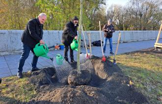 Beginn der Baumpflanzsaison 2023/2024 in der Landeshauptstadt Potsdam