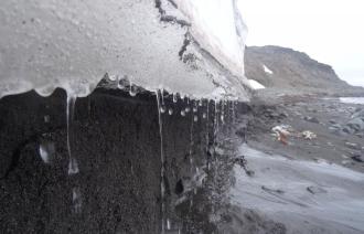 Schmelzendes Eis in der Potter Cove, Antarktis. Bei der Potsdam Summer School liegt der Schwerpunkt auf den langfristigen Auswirkungen des Klimawandels und der Herausforderung, mit ihnen umzugehen.