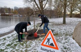 Bernd Rubelt bei der Pflanzaktion der ersten Bäume im Umfeld der Residenz Heilig Geist Park.