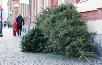 Weihnachtsbaumentsorgung in Potsdam