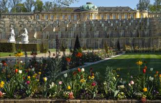 Das Foto zeigt den Park Sanssouci mit der Frühjahrsbepflanzung vor dem Schloss.