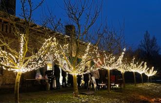 Potsdamer WEINnacht auf dem Königlichen Weinberg , Foto: Mosaik-Berlin gGmbH, Lizenz: Mosaik-Berlin gGmbH