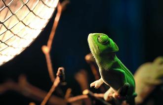 Foto: Uwe Granzow, Lizenz: Biosphäre Potsdam