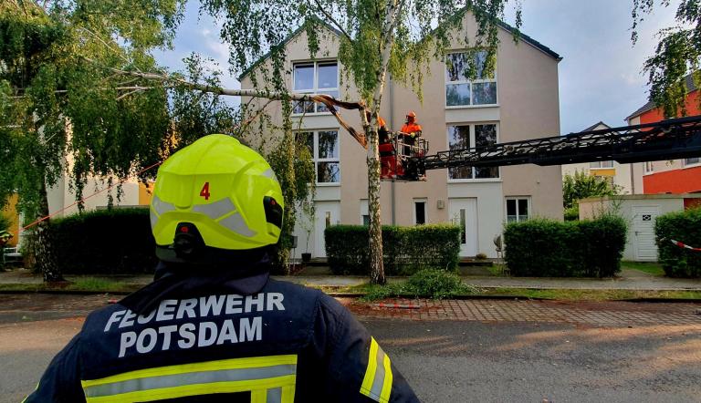 Das Foto zeigt einen Einsatz der Feuerwehr Potsdam. Eine Birke ist abgebrochen, die Feuerwehr sägt das abgebroche Stück des Baumes klein.