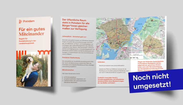 Flyertitel und Innenseite Ansicht Flyertitel und Innenseite