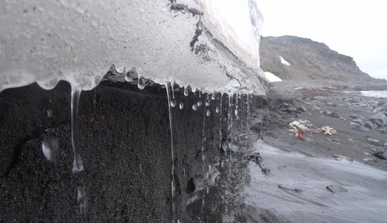Schmelzendes Eis in der Potter Cove, Antarktis. Bei der Potsdam Summer School liegt der Schwerpunkt auf den langfristigen Auswirkungen des Klimawandels und der Herausforderung, mit ihnen umzugehen.