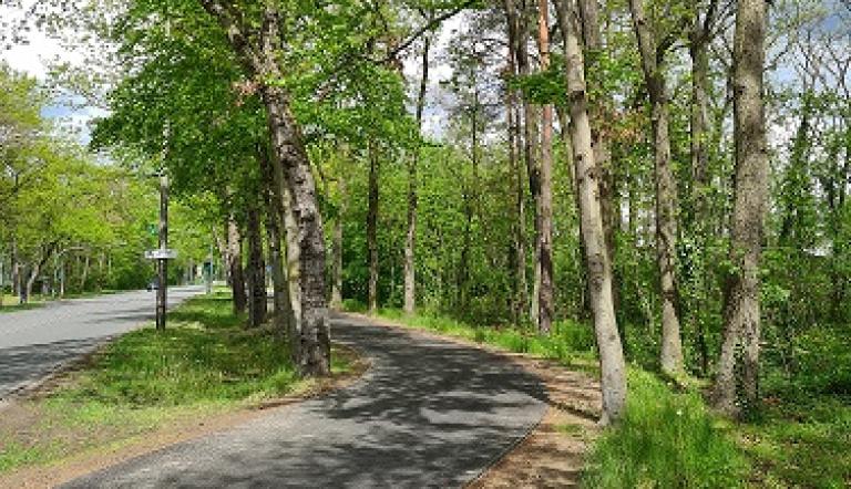 Geh- und Radwege in der Heinrich-Mann-Allee und Fahrradstraße in der Nebenfahrbahn der Heinrich-Mann-Allee wurden erneuert.