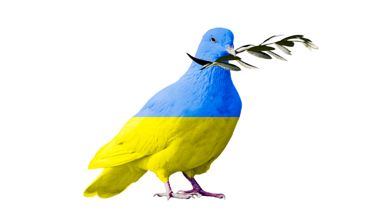 Eine Friedenstaube mit Ölzweig im Schnabel - Ihr Federkleid hat die ukrainischen Nationalfarben blau und gelb