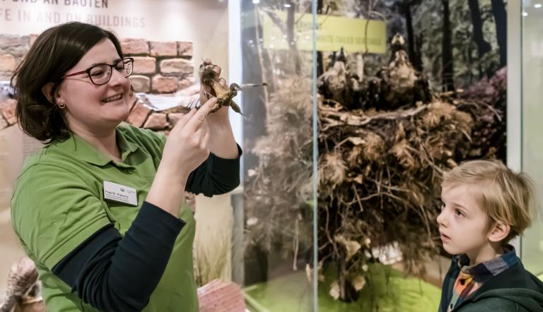 Führung im Naturkundemuseum II, Foto: D. Marschalsky, Lizenz: Naturkundemuseum Potsdam